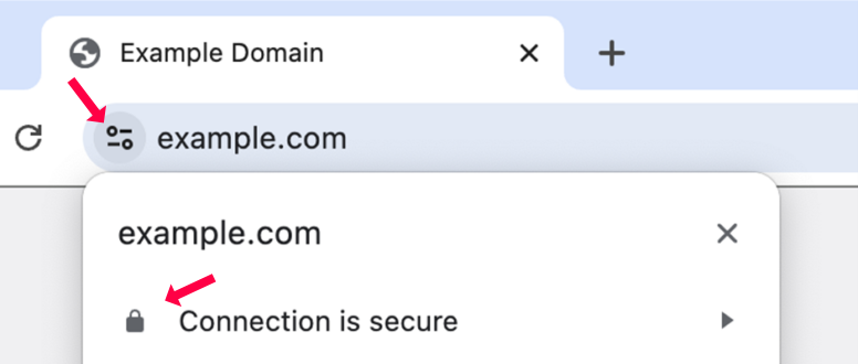Google Chrome SSL Example